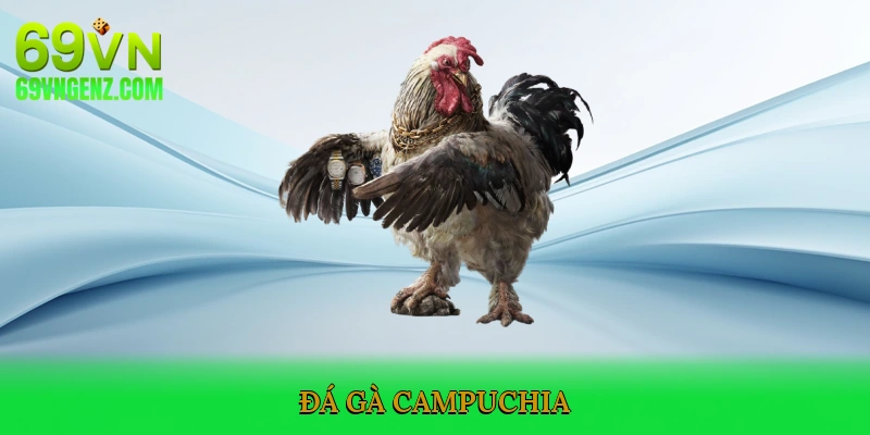 Đá gà Campuchia