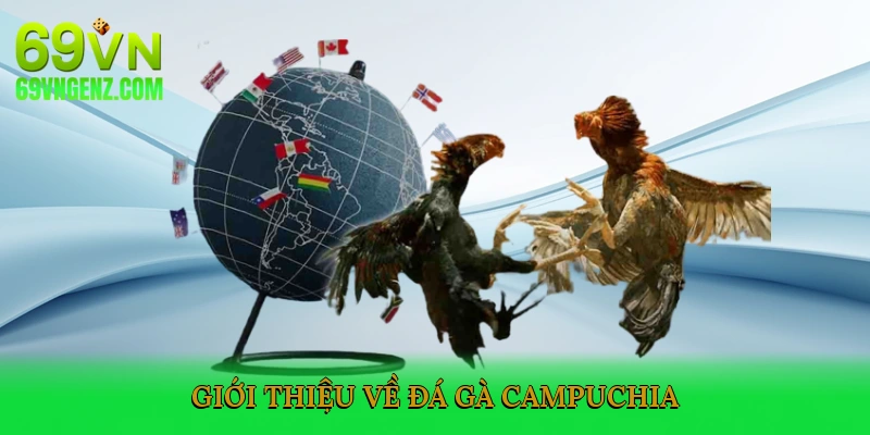 Giới Thiệu Về Đá Gà Campuchia