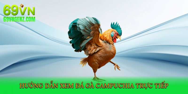 Hướng Dẫn Xem Đá Gà Campuchia Trực Tiếp