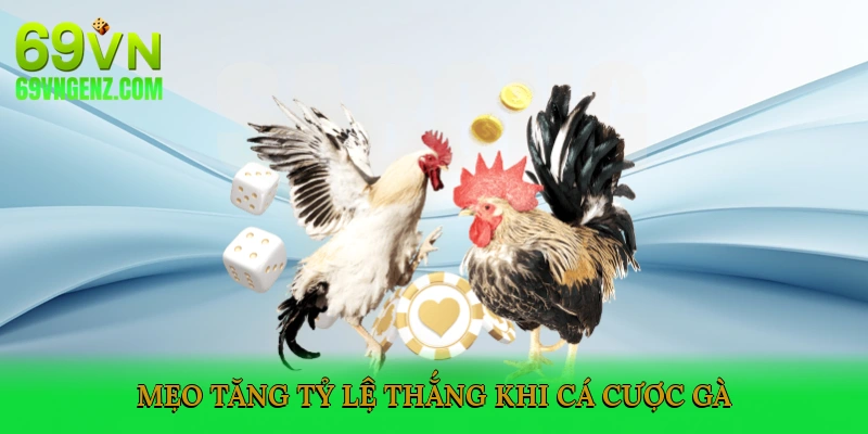 Mẹo Tăng Tỷ Lệ Thắng Khi Cá Cược Gà